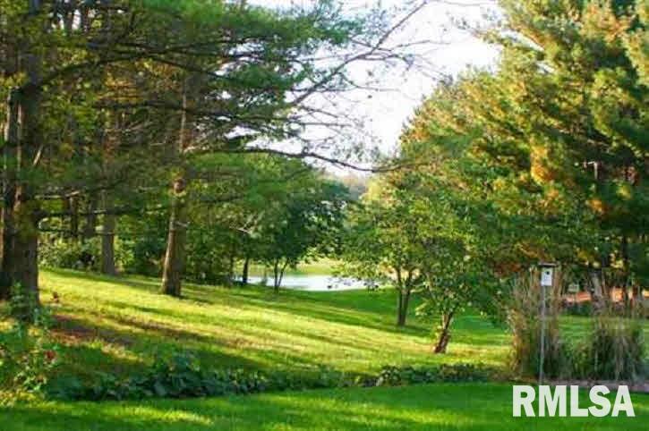 2027 Scenic Ridge DeWitt, IA 52742 - Photo 3 of 19 Gallery Image 3