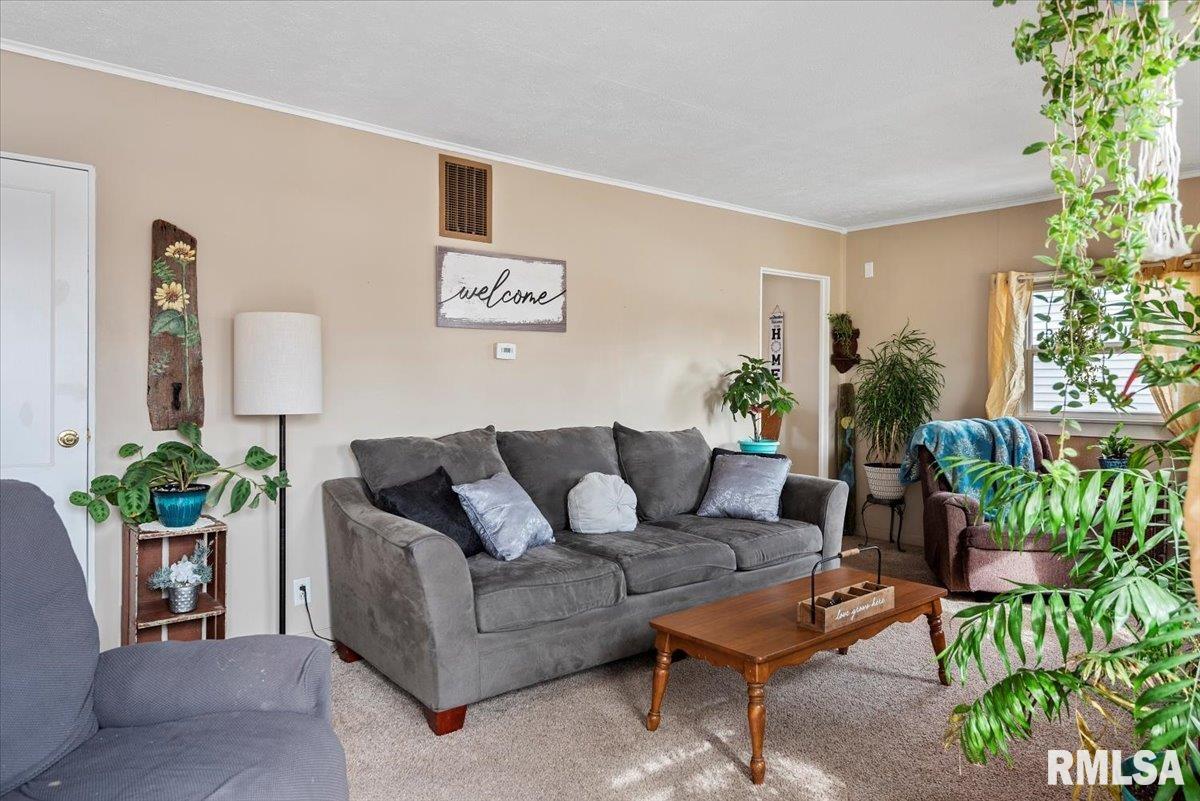 1017 West Iles Avenue Springfield, IL 62704 - Photo 3 of 21 Gallery Image 3