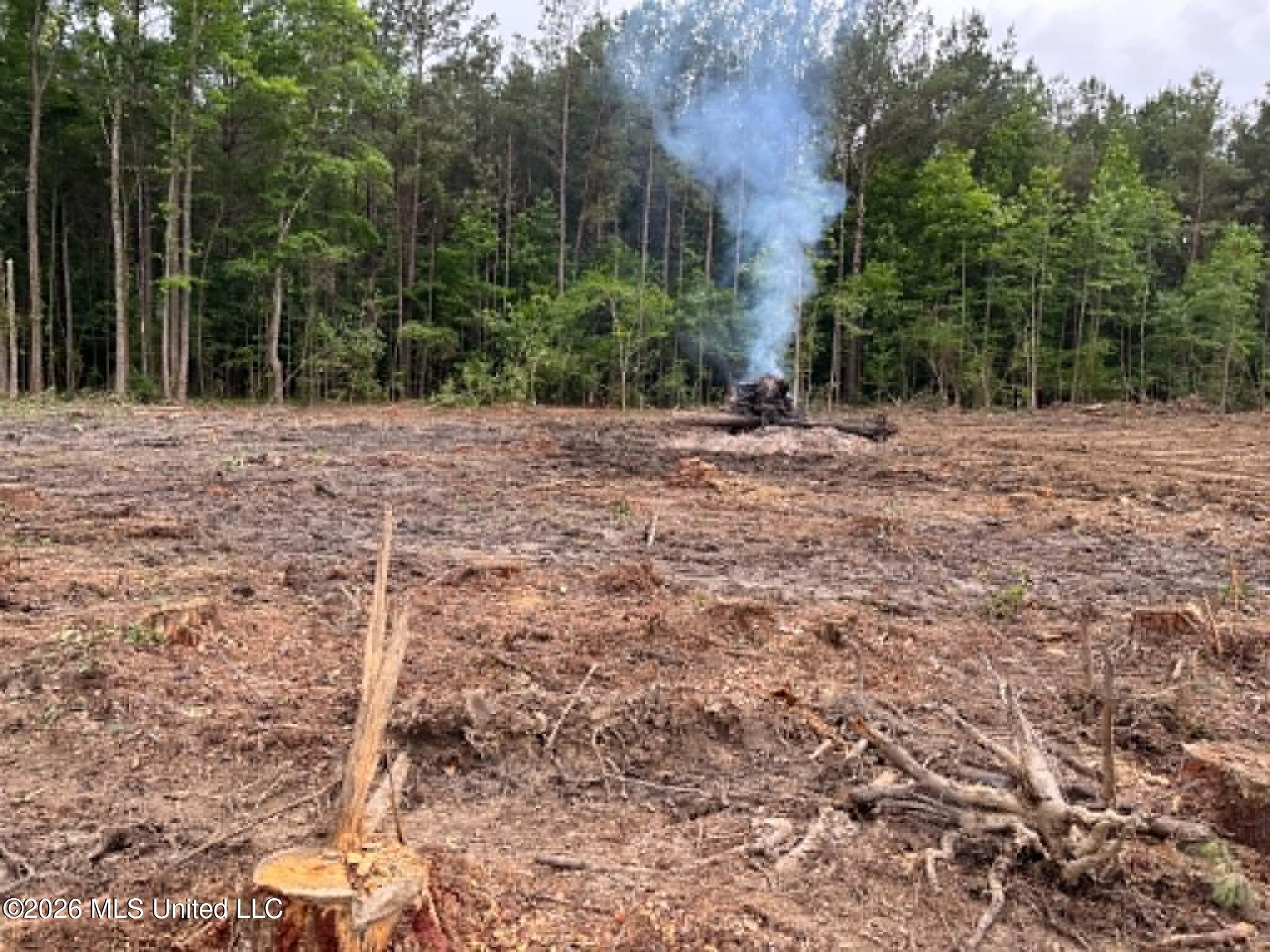 715 Old Pinola Braxton Road Braxton, MS 39044 - Photo 2 of 8 ecf02f61-d494-4b0f-890b-bac3dd5e0b25