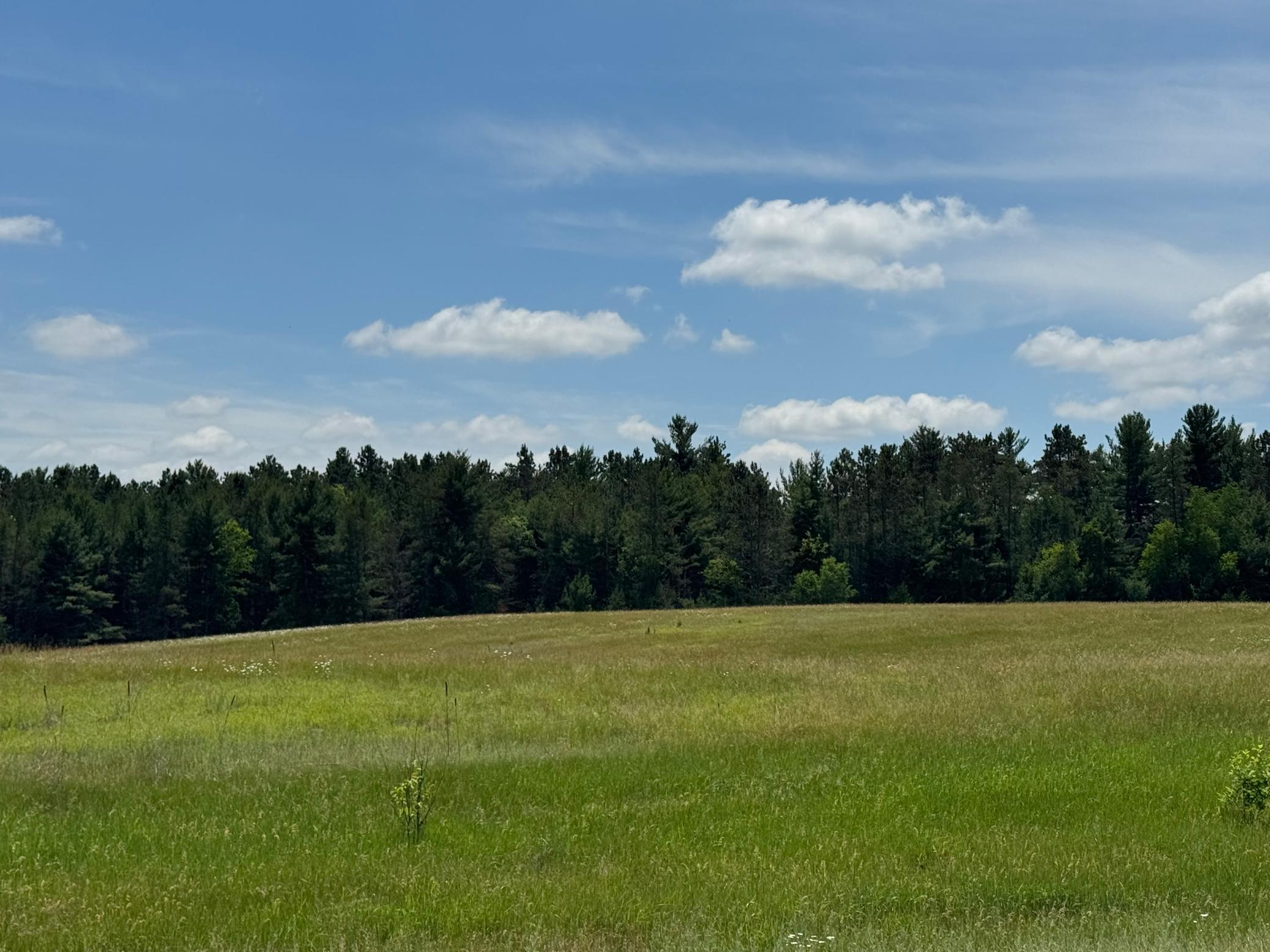 6398 Fred Tripp Road Springbrook, WI 54875 - Photo 17 of 30