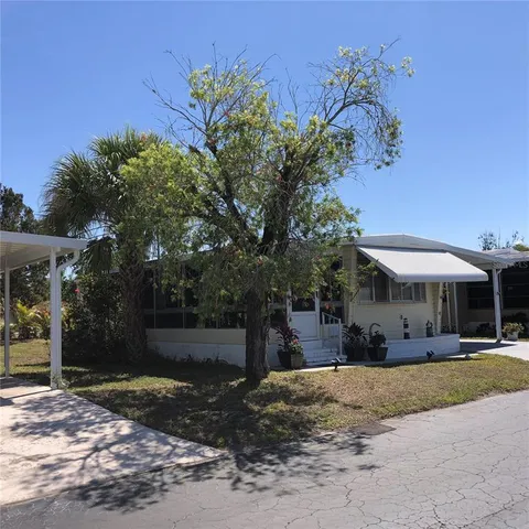 a view of a yard with plants and trees