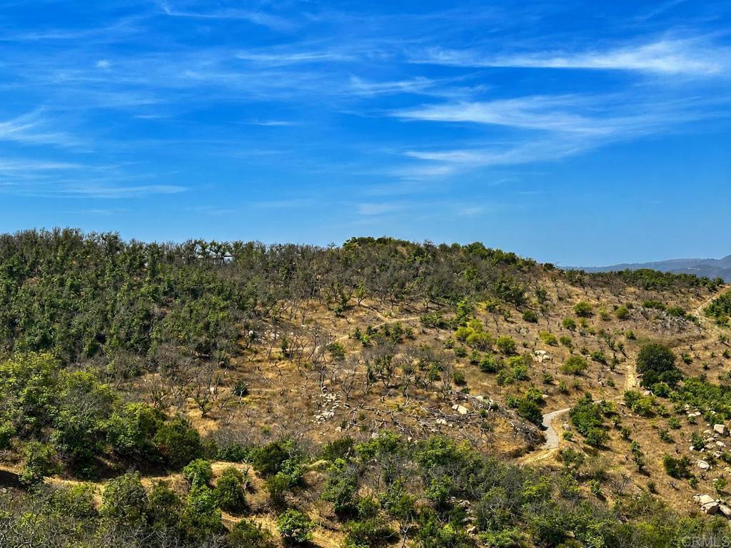 2339 Green Valley Road Fallbrook, CA 92028 - Photo 25 of 39