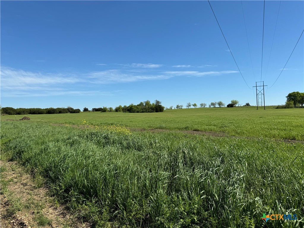 2995 Rock Road Troy, TX 76579 - Photo 4 of 6