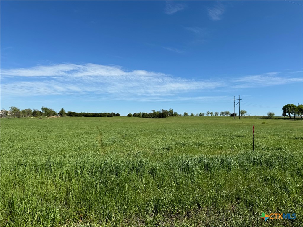 2995 Rock Road Troy, TX 76579 - Photo 5 of 6