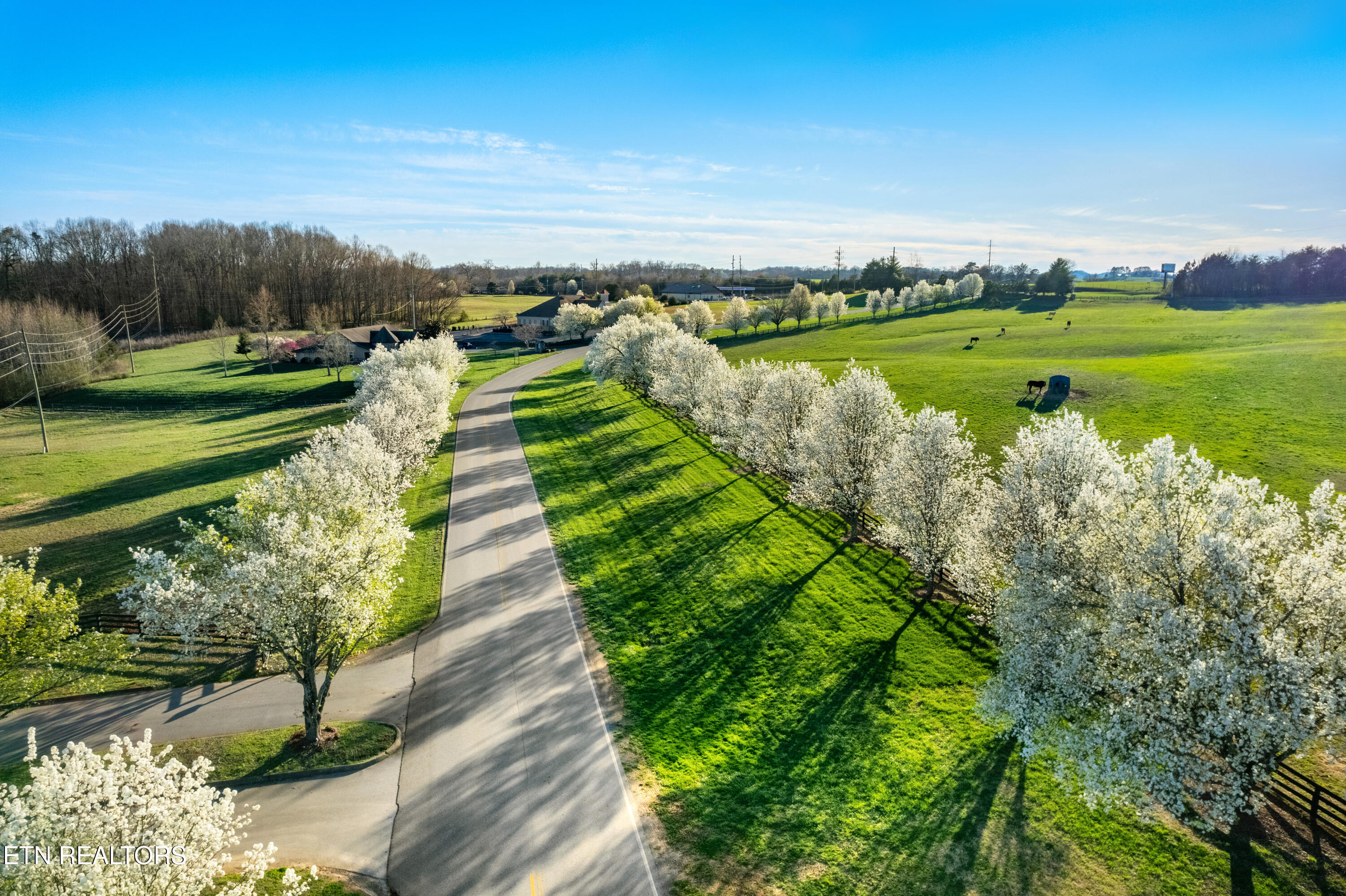 565 Rarity Bay Parkway, Unit 201 Vonore, TN 37885 - Photo 28 of 36 DJI_0817-HDR copy