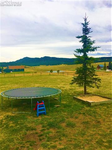 379 High Pasture Road Florissant, CO 80816 - Photo 4 of 20