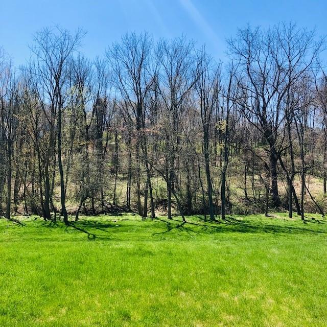 413 McCombs Road Venetia, PA 15367 - Photo 23 of 24