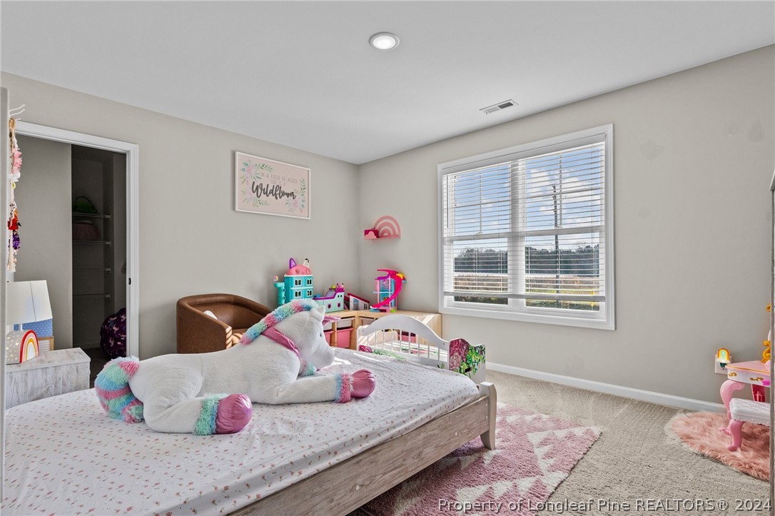 869 Townsend Road Raeford, NC 28376 - Photo 32 of 38 Gallery Image 32