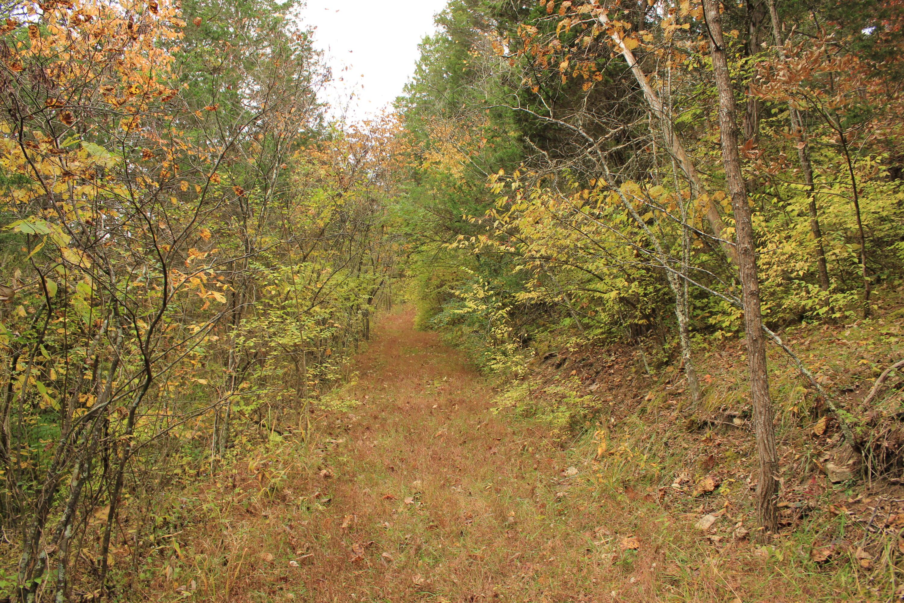 1316 Buttermilk Run Road Manchester, OH 45144 - Photo 91 of 107 92