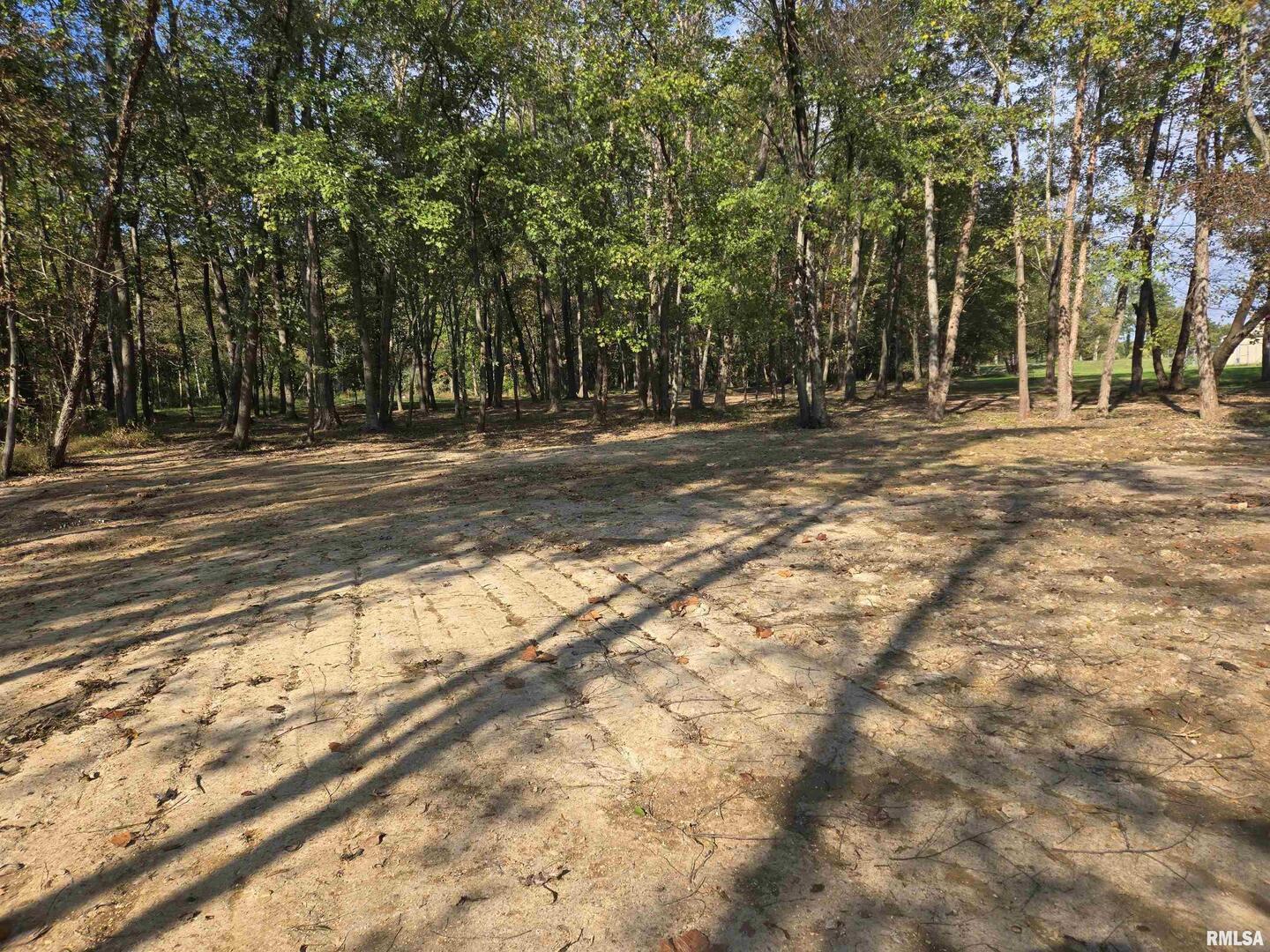 Lot 4 Norman Road Marion, IL 62959 - Photo 6 of 6 a view of outdoor space with trees