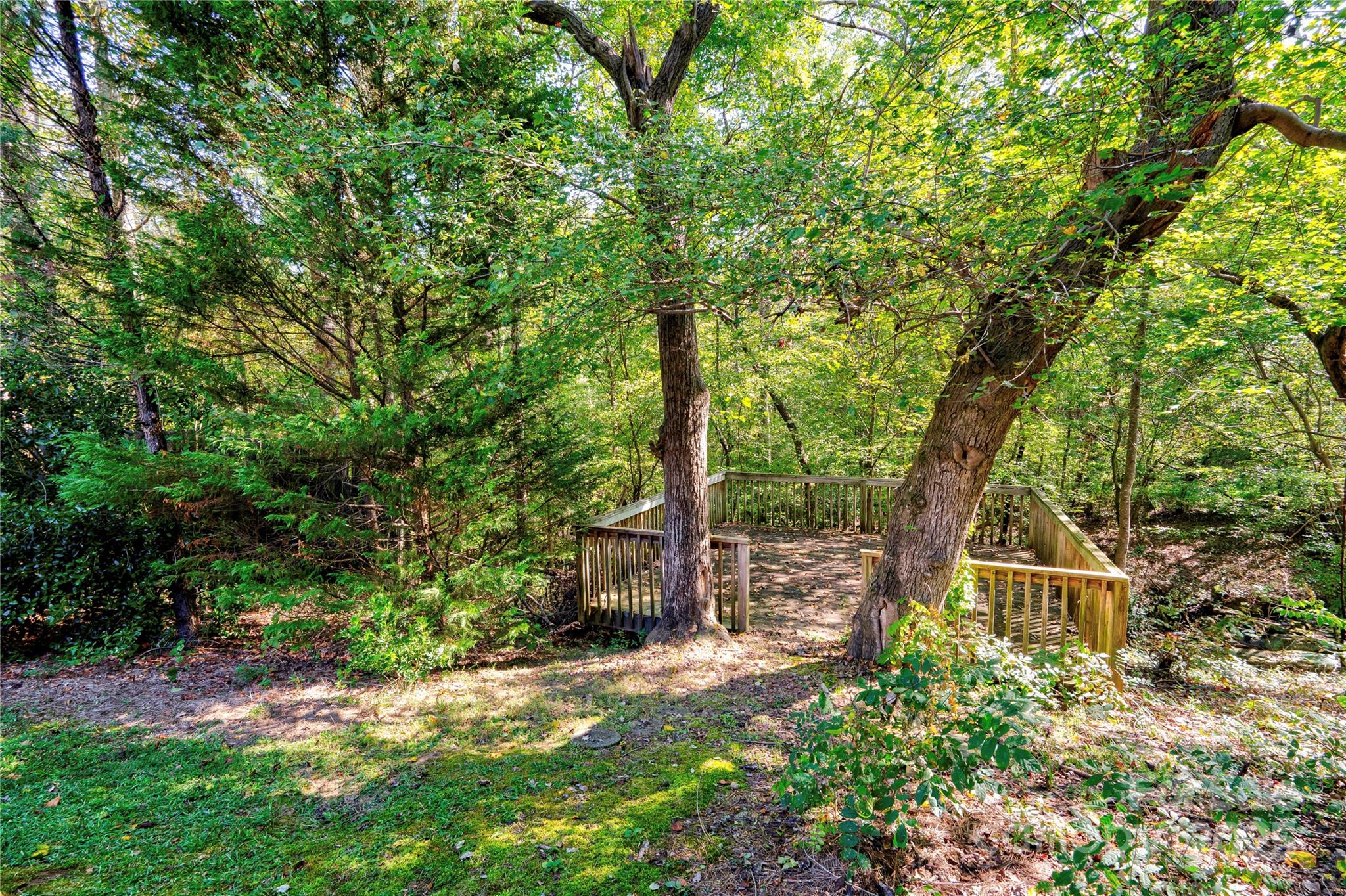 411 El Bethel Road Kings Mountain, NC 28086 - Photo 40 of 42 a front view of a house with a yard and tree s