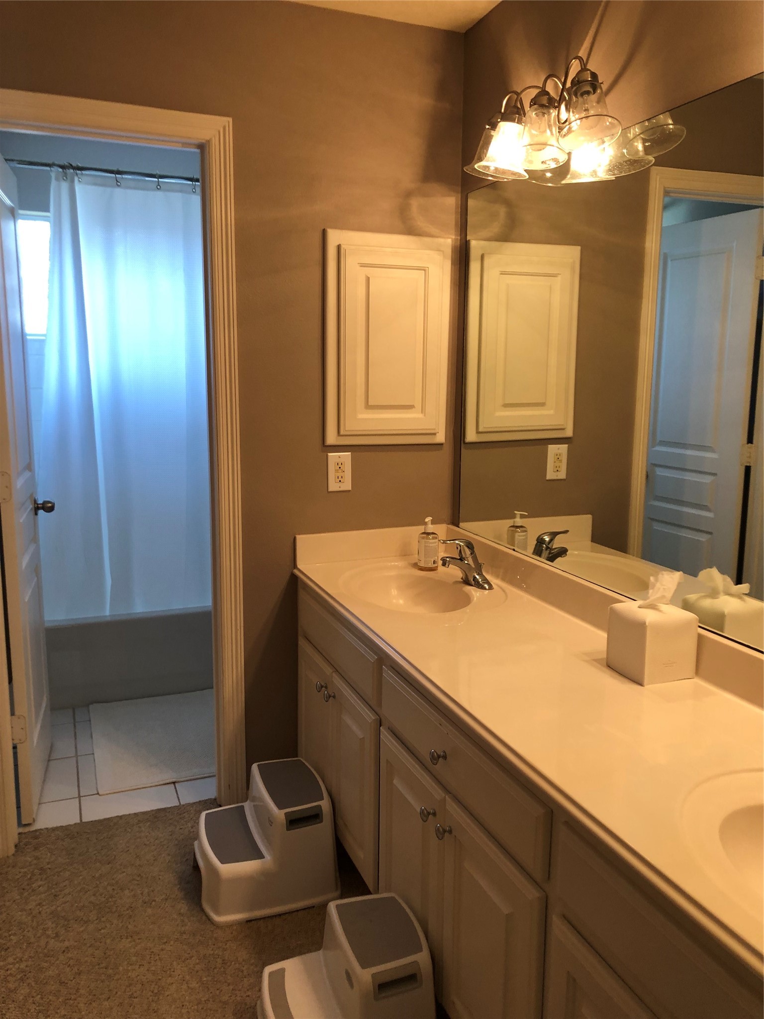 951 Lamonte Lane Houston, TX 77018 - Photo 18 of 26 a bathroom with a sink and a mirror