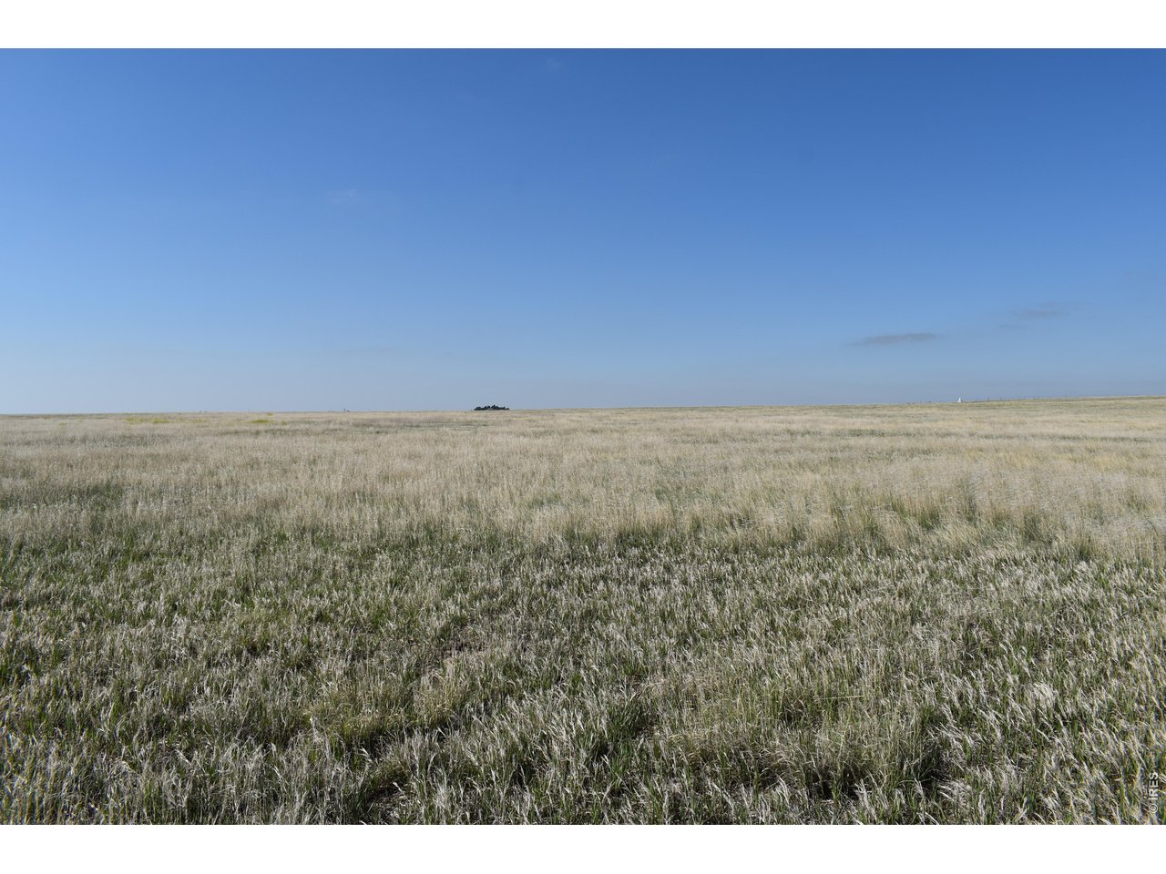 County Road Akron, CO 80720 - Photo 3 of 13 Well Established Grass