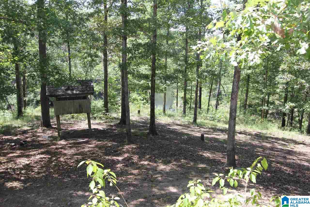 9347 Bishop Ridge West Blocton, AL 35184 - Photo 8 of 12