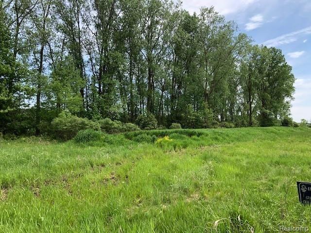 0 Bell Oak Road Webberville, MI 48892 - Photo 1 of 1