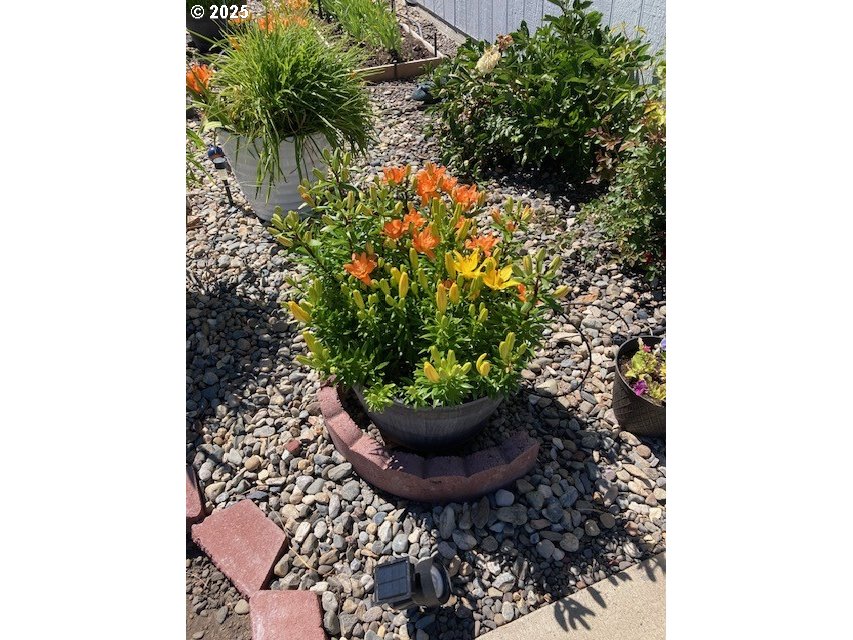 313 12th Street, Unit 4 La Grande, OR 97850 - Photo 31 of 32 a potted plant sitting in front of a house