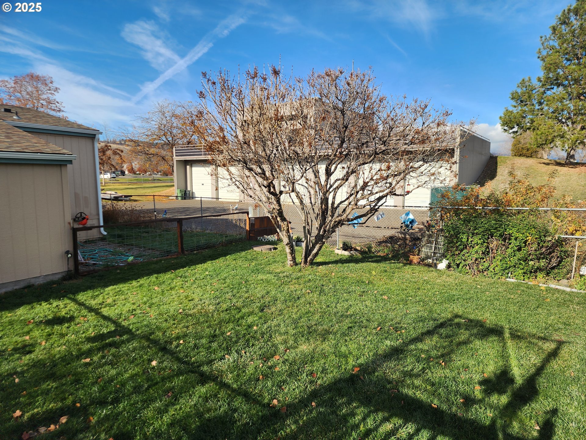 313 12th Street, Unit 4 La Grande, OR 97850 - Photo 9 of 32 a view of backyard with green space