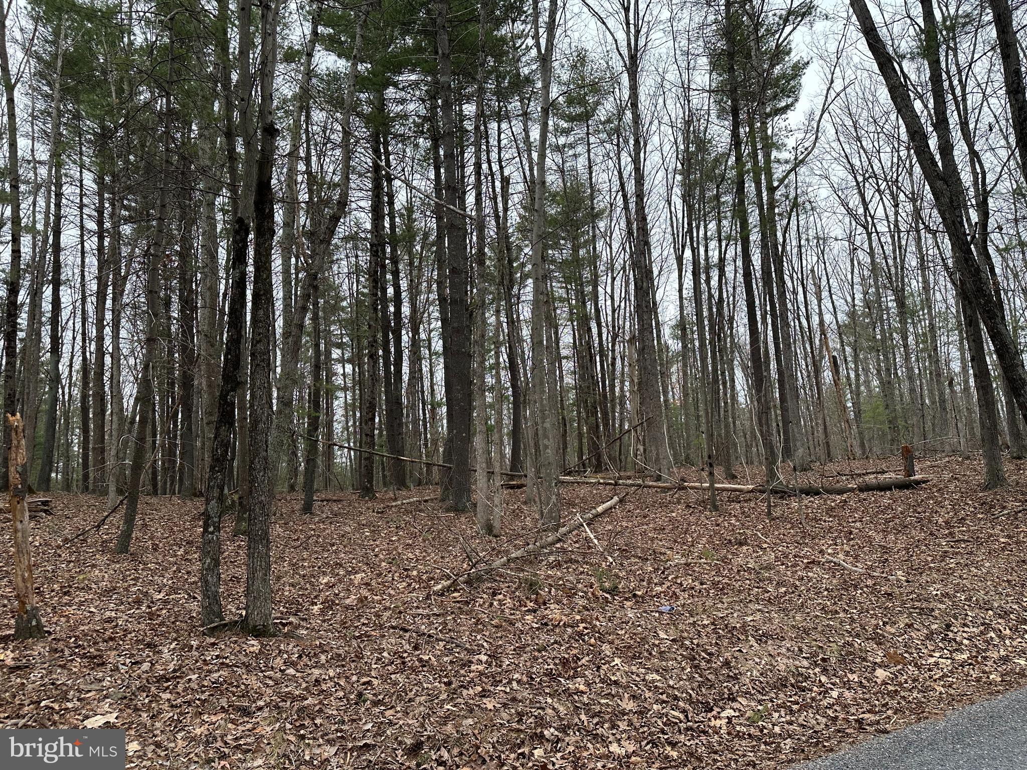 Oliver Beltz Road Oldtown, MD 21555 - Photo 11 of 14