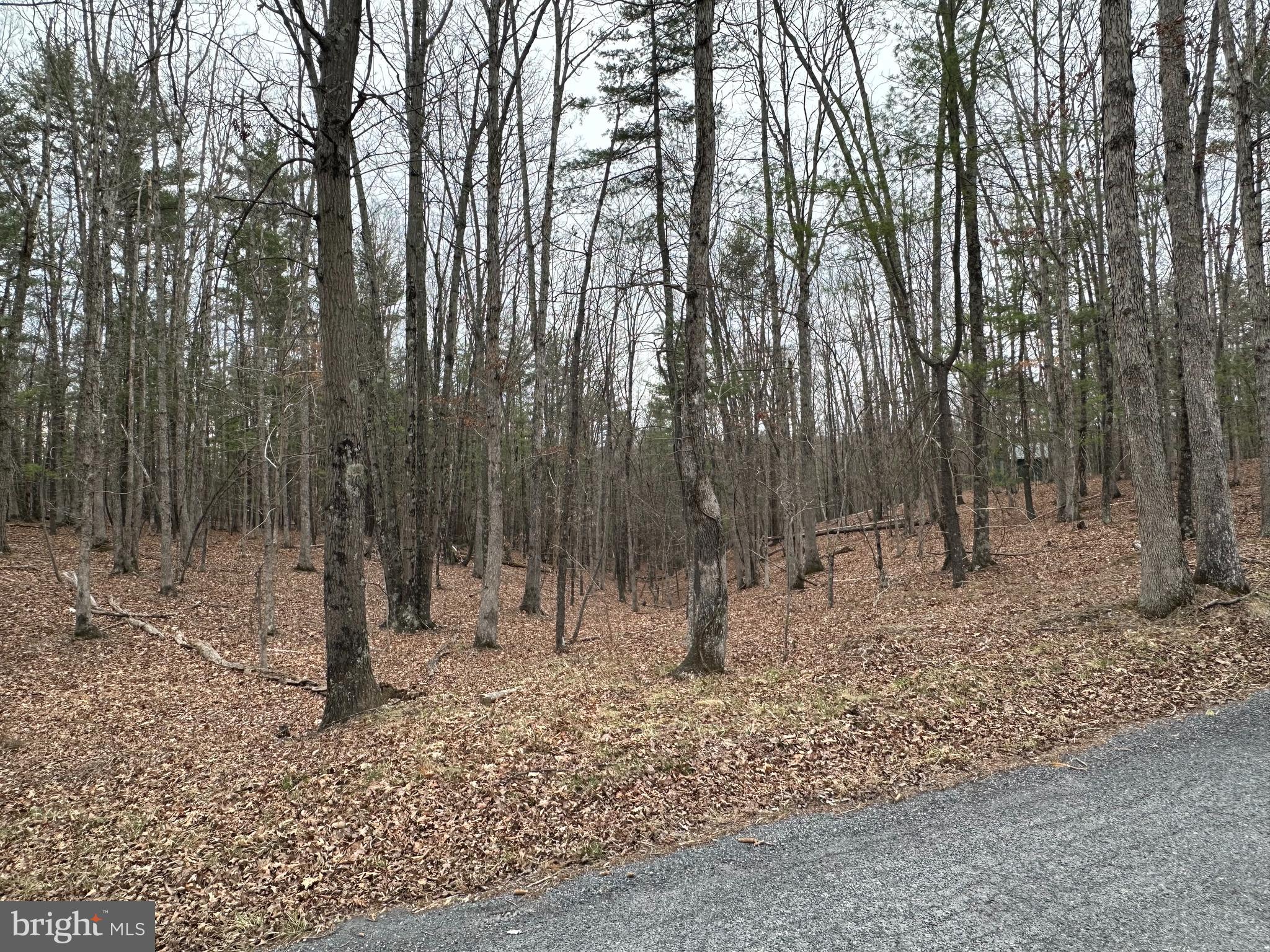 Oliver Beltz Road Oldtown, MD 21555 - Photo 12 of 14