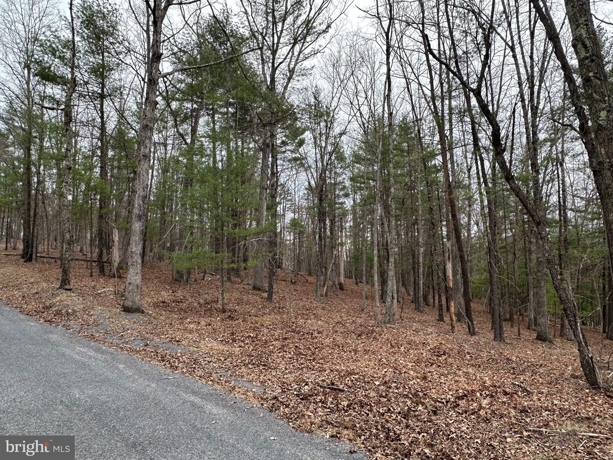 Oliver Beltz Road Oldtown, MD 21555 - Photo 13 of 14