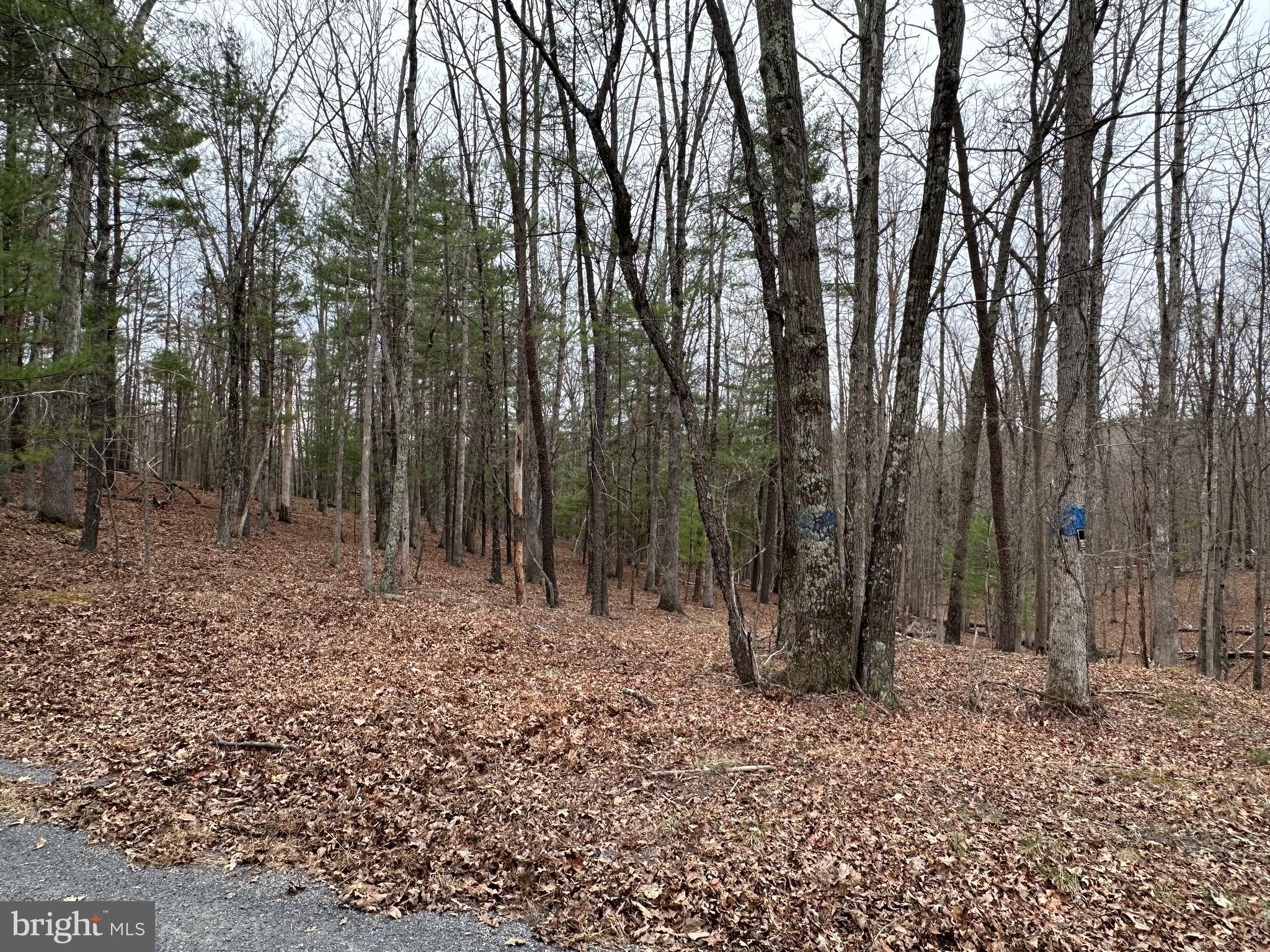 Oliver Beltz Road Oldtown, MD 21555 - Photo 14 of 14