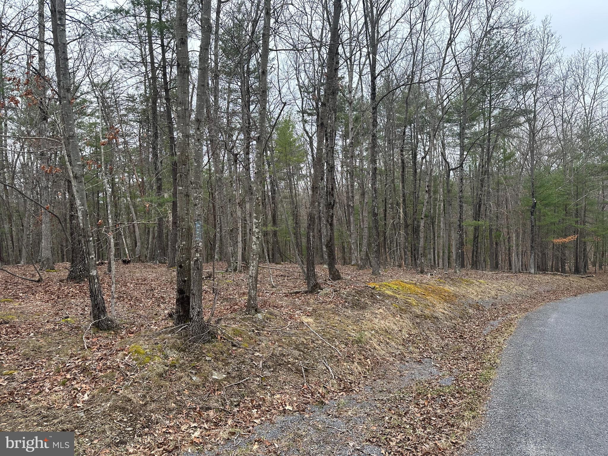 Oliver Beltz Road Oldtown, MD 21555 - Photo 2 of 14