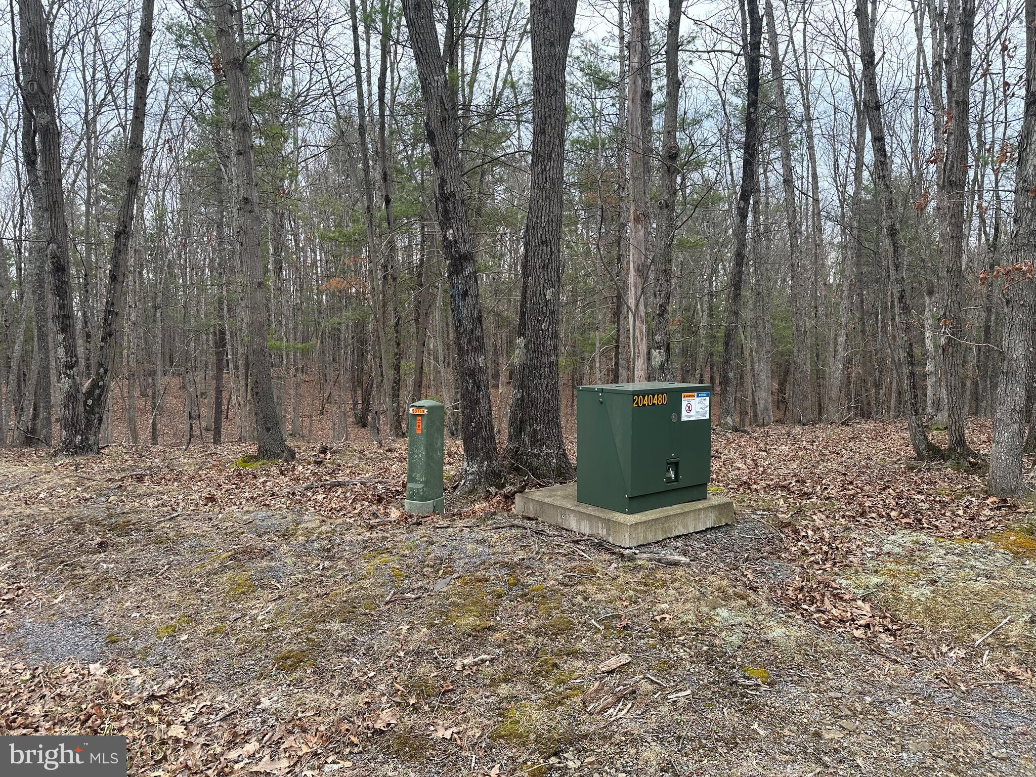 Oliver Beltz Road Oldtown, MD 21555 - Photo 3 of 14