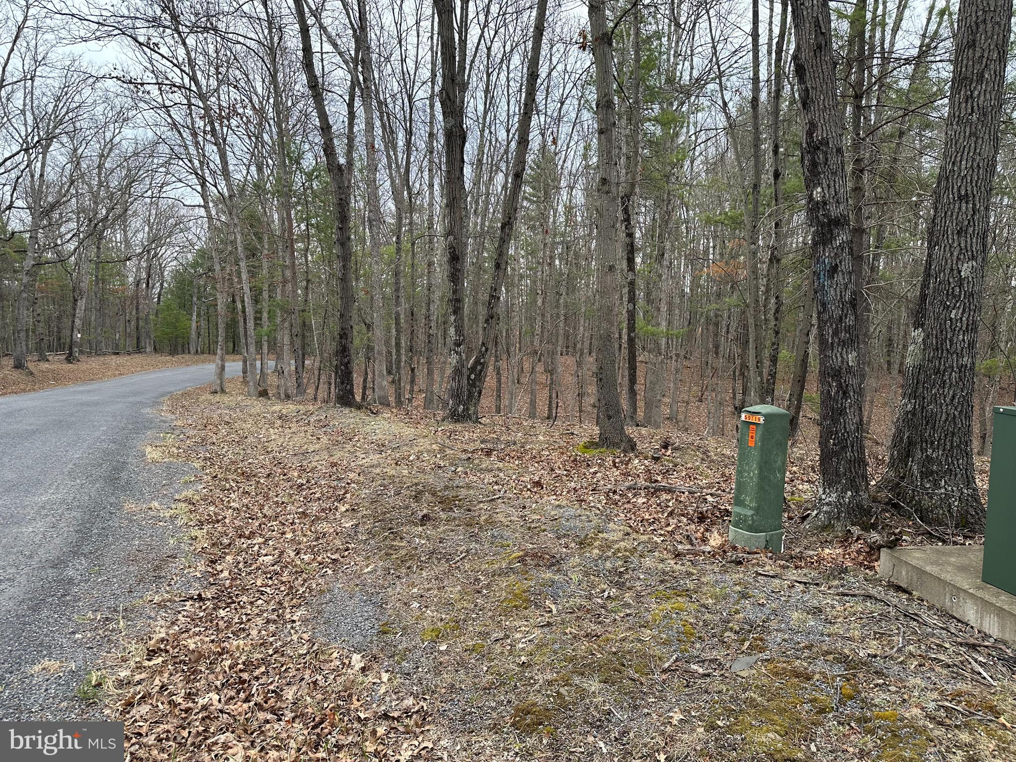 Oliver Beltz Road Oldtown, MD 21555 - Photo 4 of 14