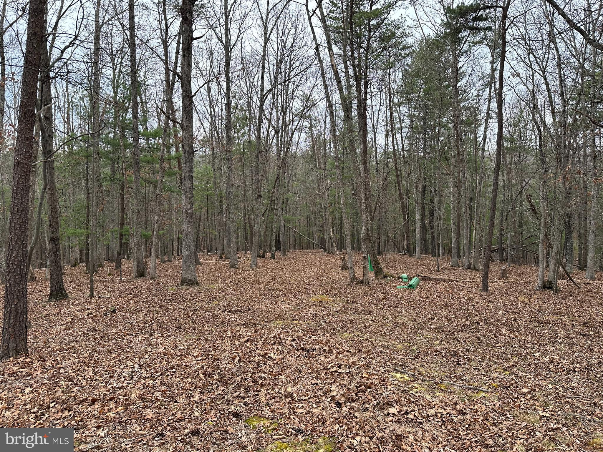 Oliver Beltz Road Oldtown, MD 21555 - Photo 6 of 14