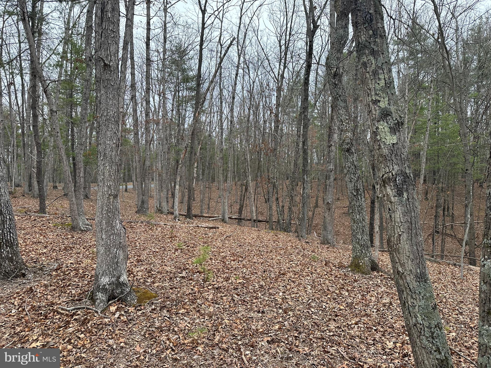 Oliver Beltz Road Oldtown, MD 21555 - Photo 9 of 14