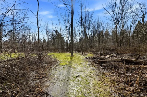 $224,900 | 6373 Center Street, Hamburg, NY 14085