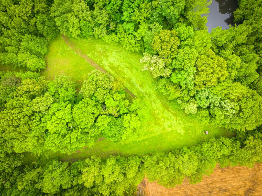 0 Poplar Grove Cemetery Road Henning, TN 38041 - Photo 35 of 40 Aerial perspective of a verdant landscape featuring a dense tree canopy and expansive grassy clearings