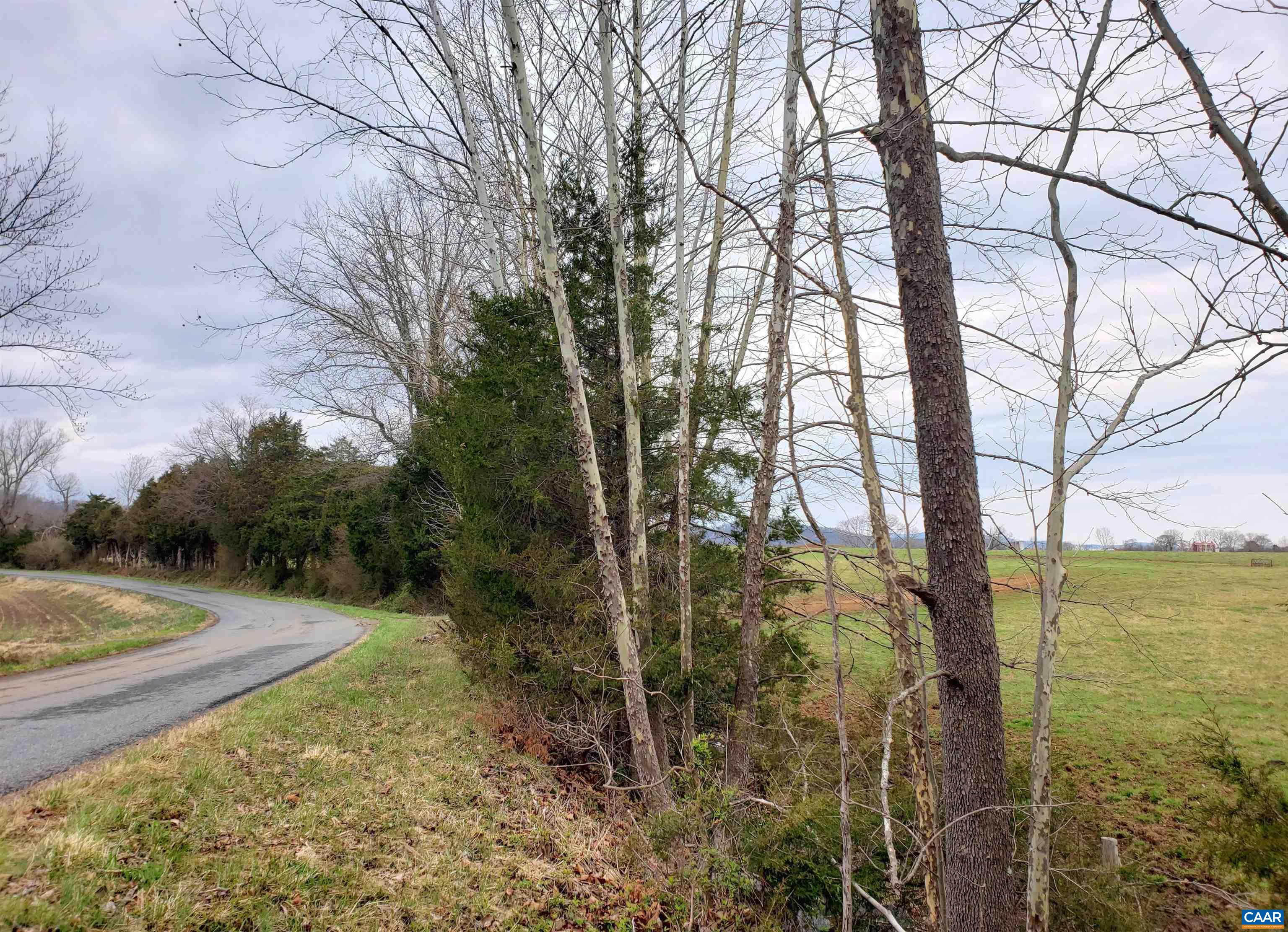 Double Run Road Madison, VA 22727 - Photo 20 of 26 a view of a yard with an trees