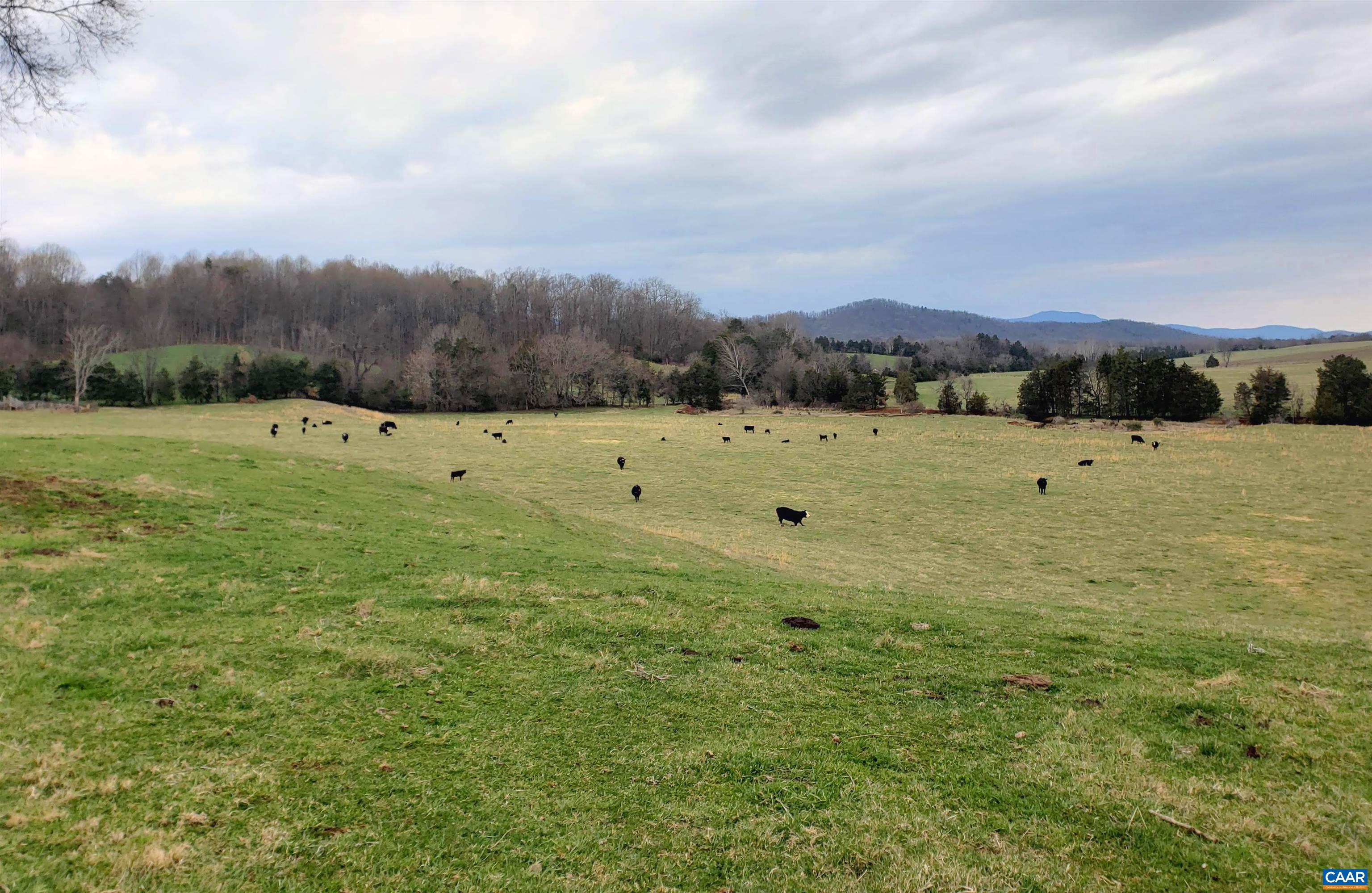 Double Run Road Madison, VA 22727 - Photo 24 of 26 a view of a lake view