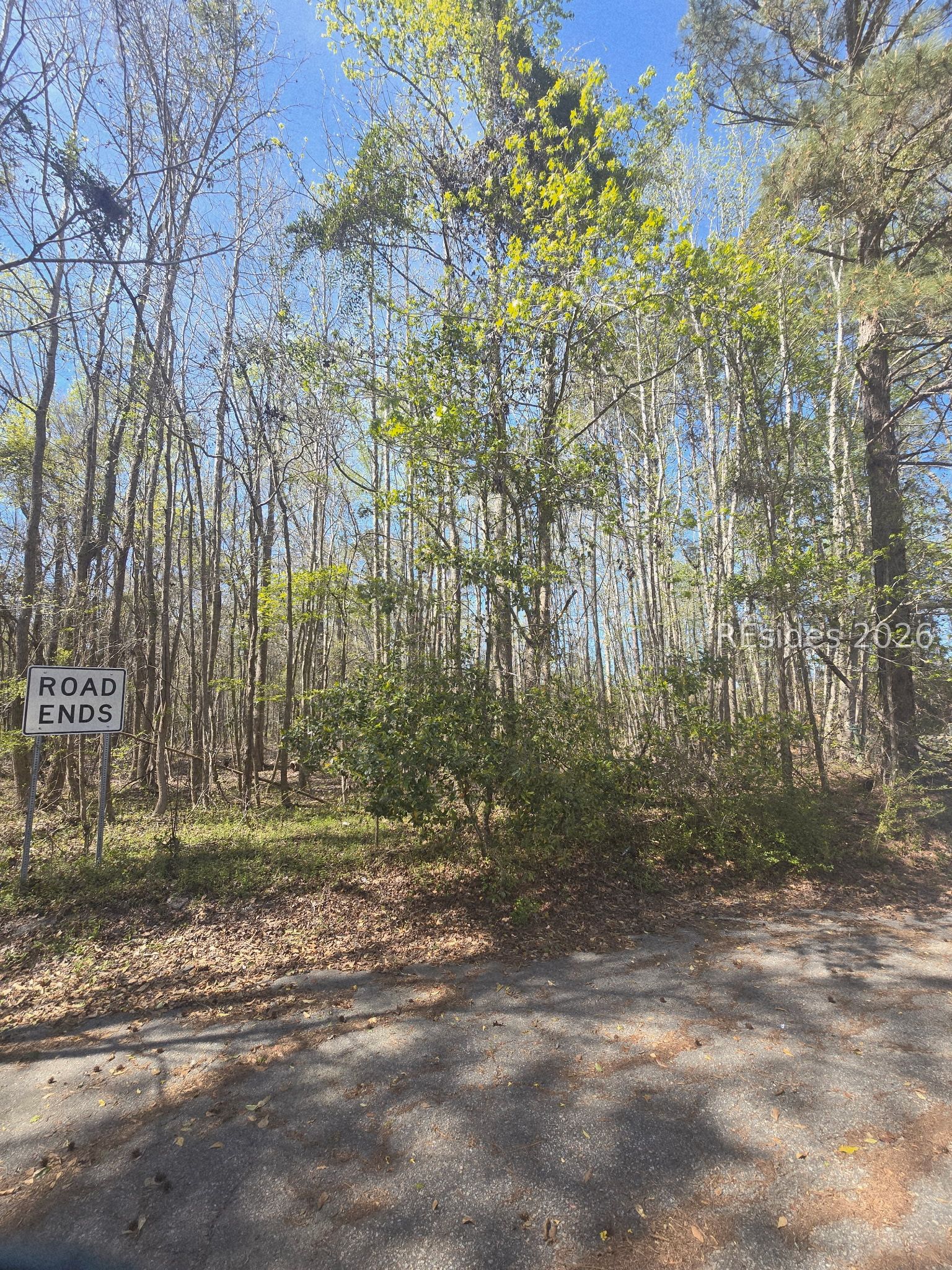 Lot 5 Freeman Street Brunson, SC 29911 - Photo 2 of 6