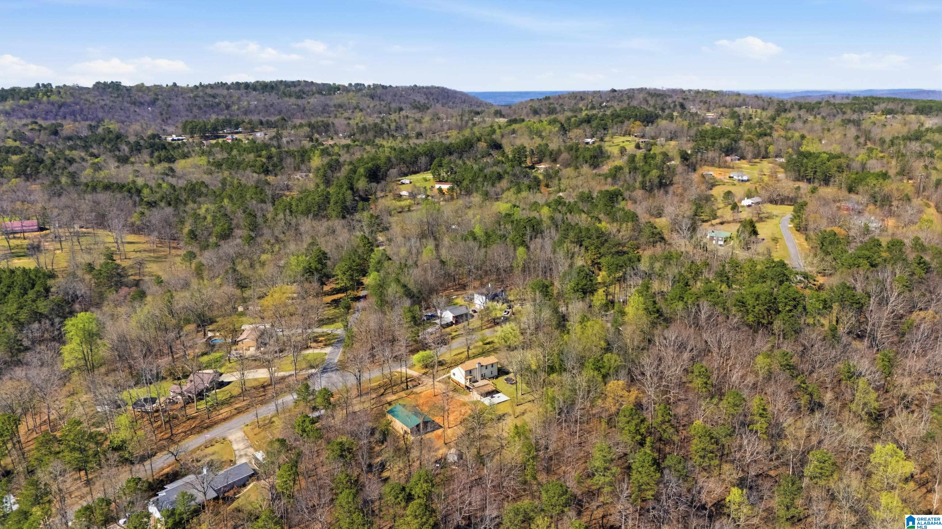 270 Ridge Trail Warrior, AL 35180 - Photo 59 of 61