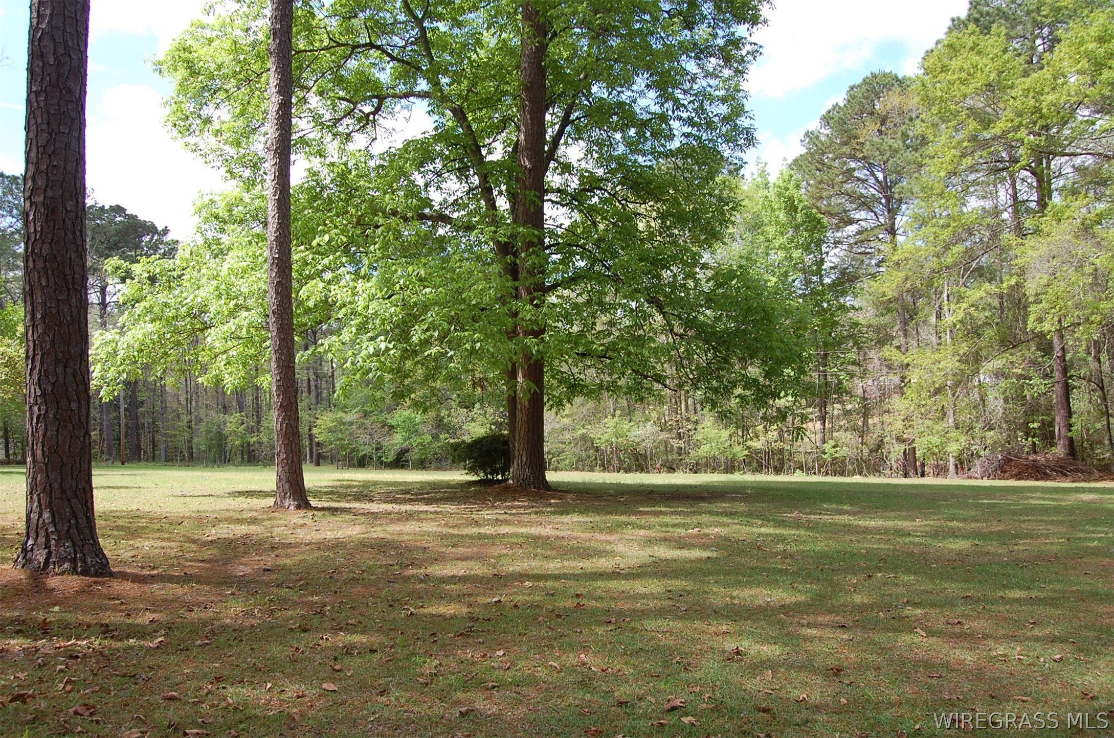 16367 Bernard Stewart Road Andalusia, AL 36421 - Photo 26 of 26 Gallery Image 26