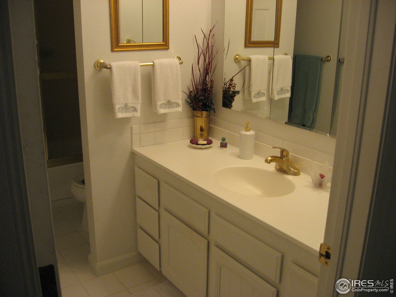 2512 Hawthorne Road Fort Collins, CO 80524 - Photo 19 of 31 Primary bath