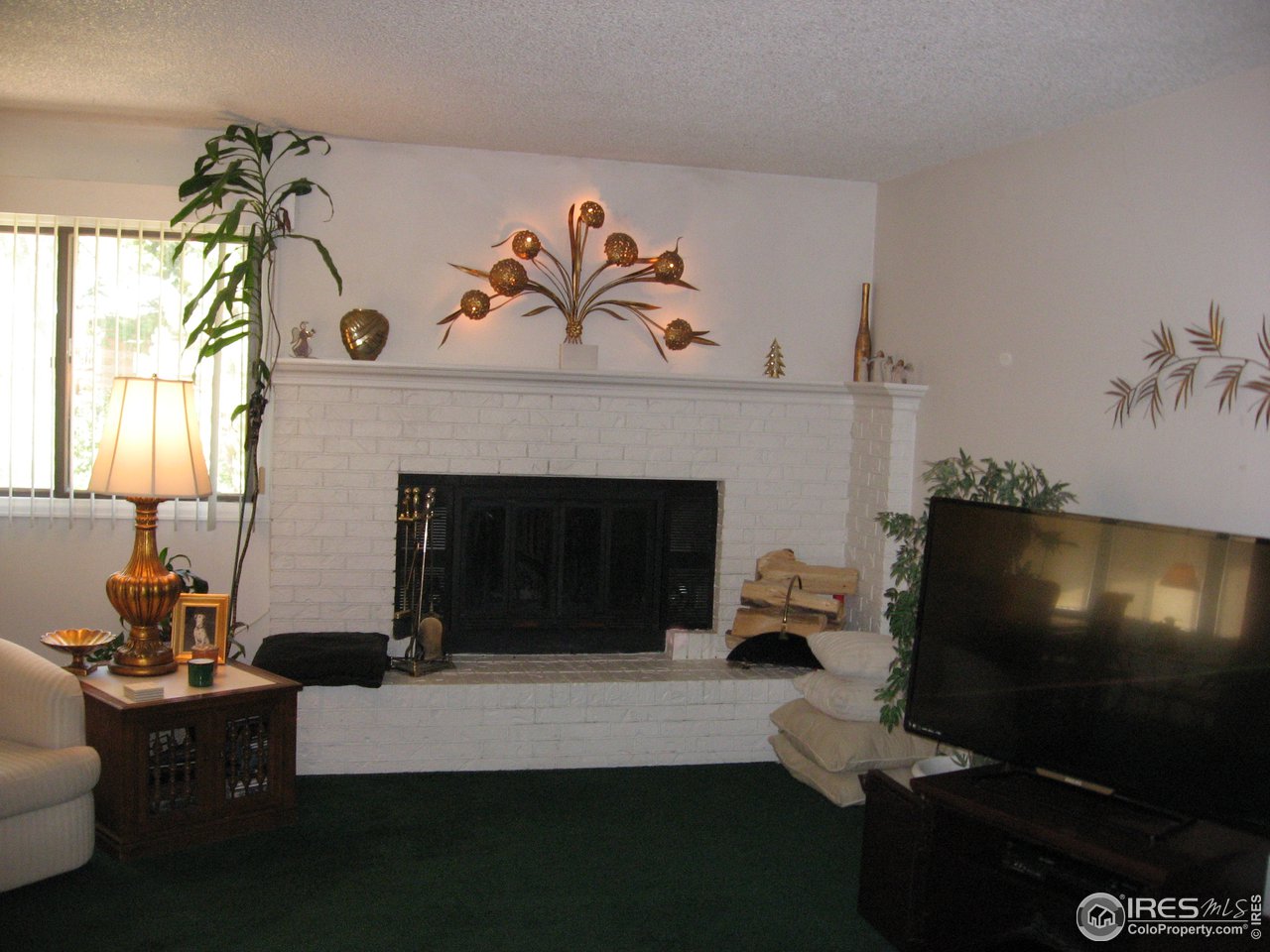 Beautiful wood burning fireplace