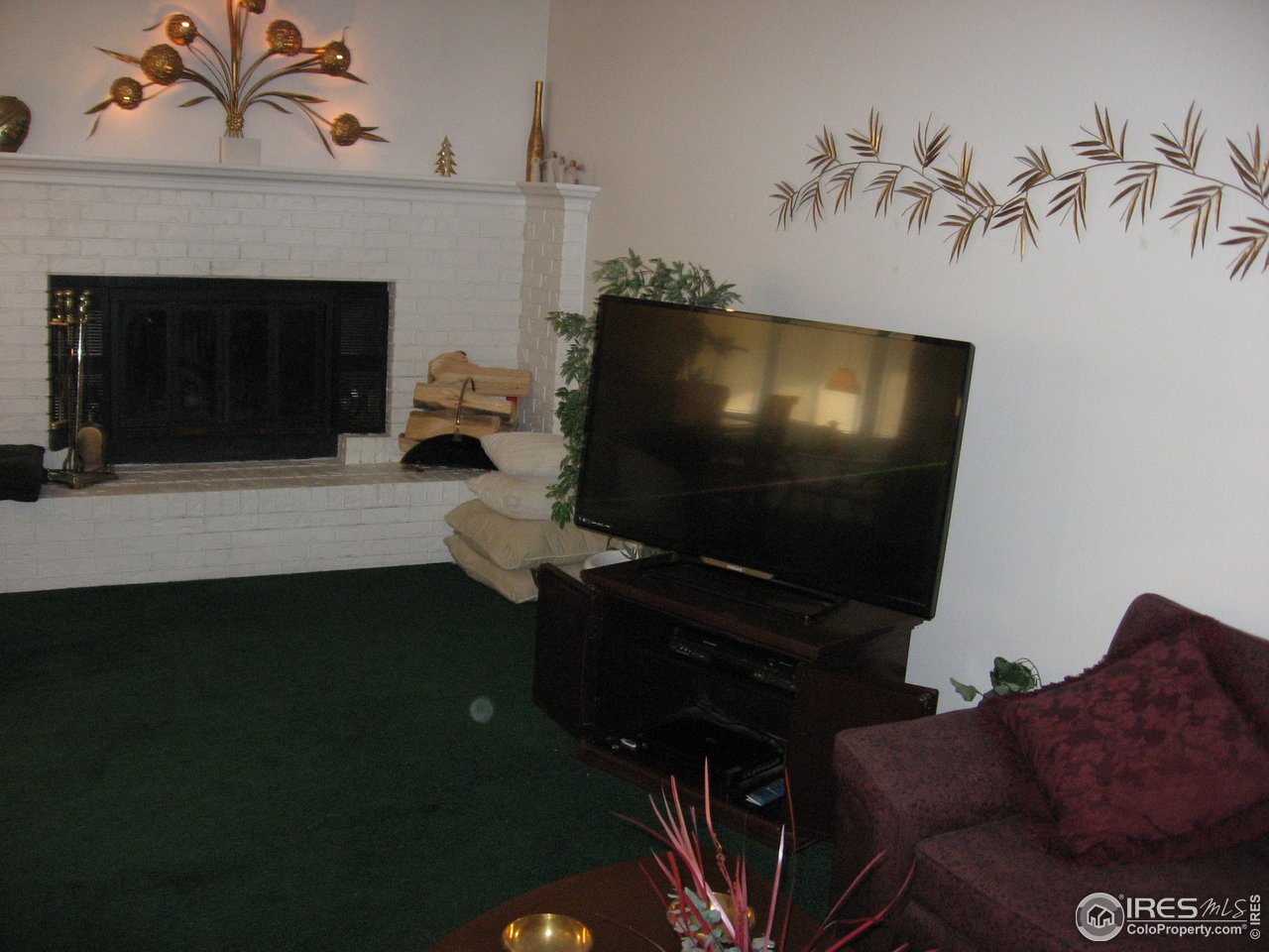 Living room TV & fireplace