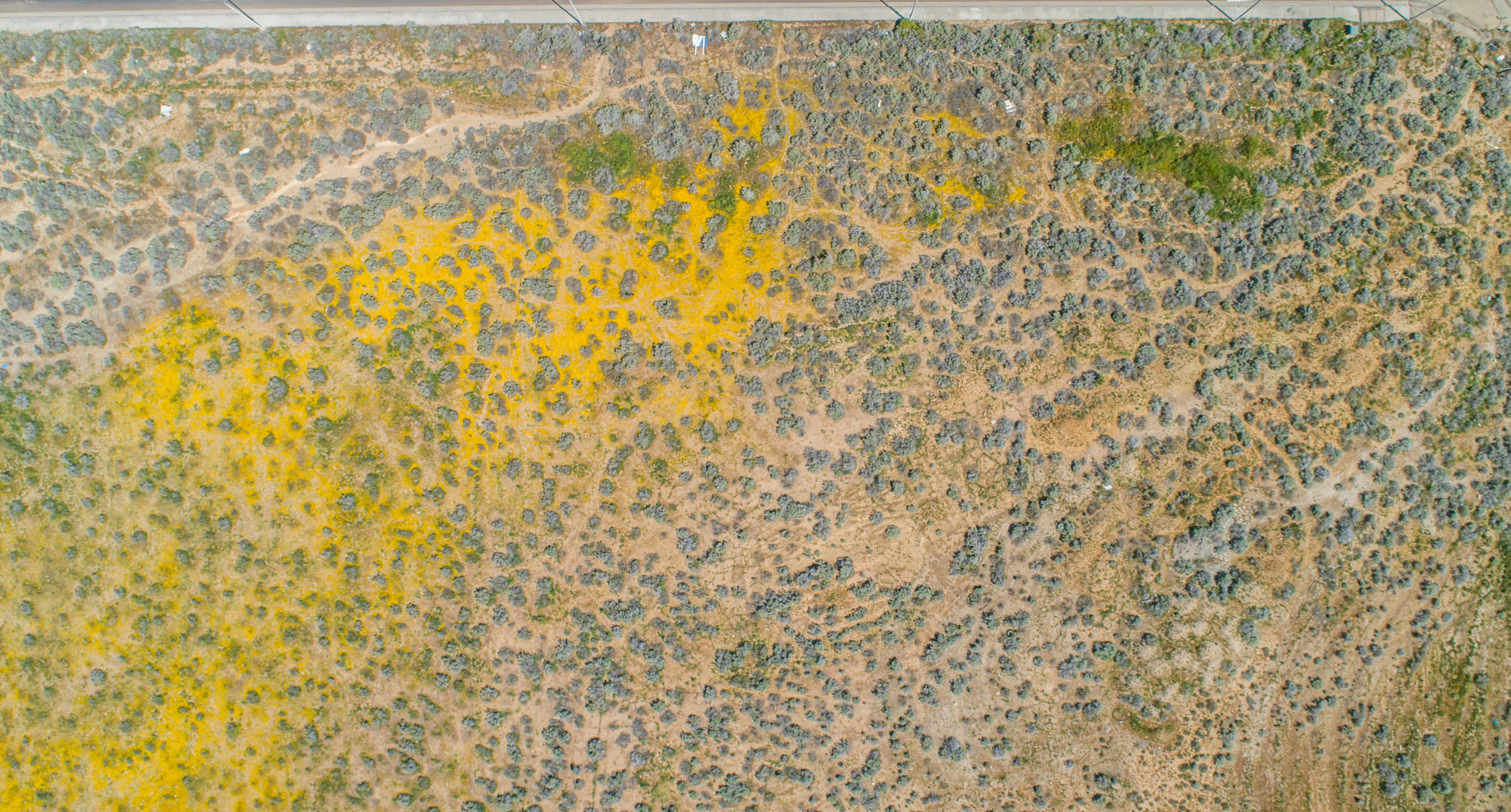 Vac Vac Corner Southeast Palmdale, CA 93550 - Photo 6 of 8 a bathroom with a shower curtain