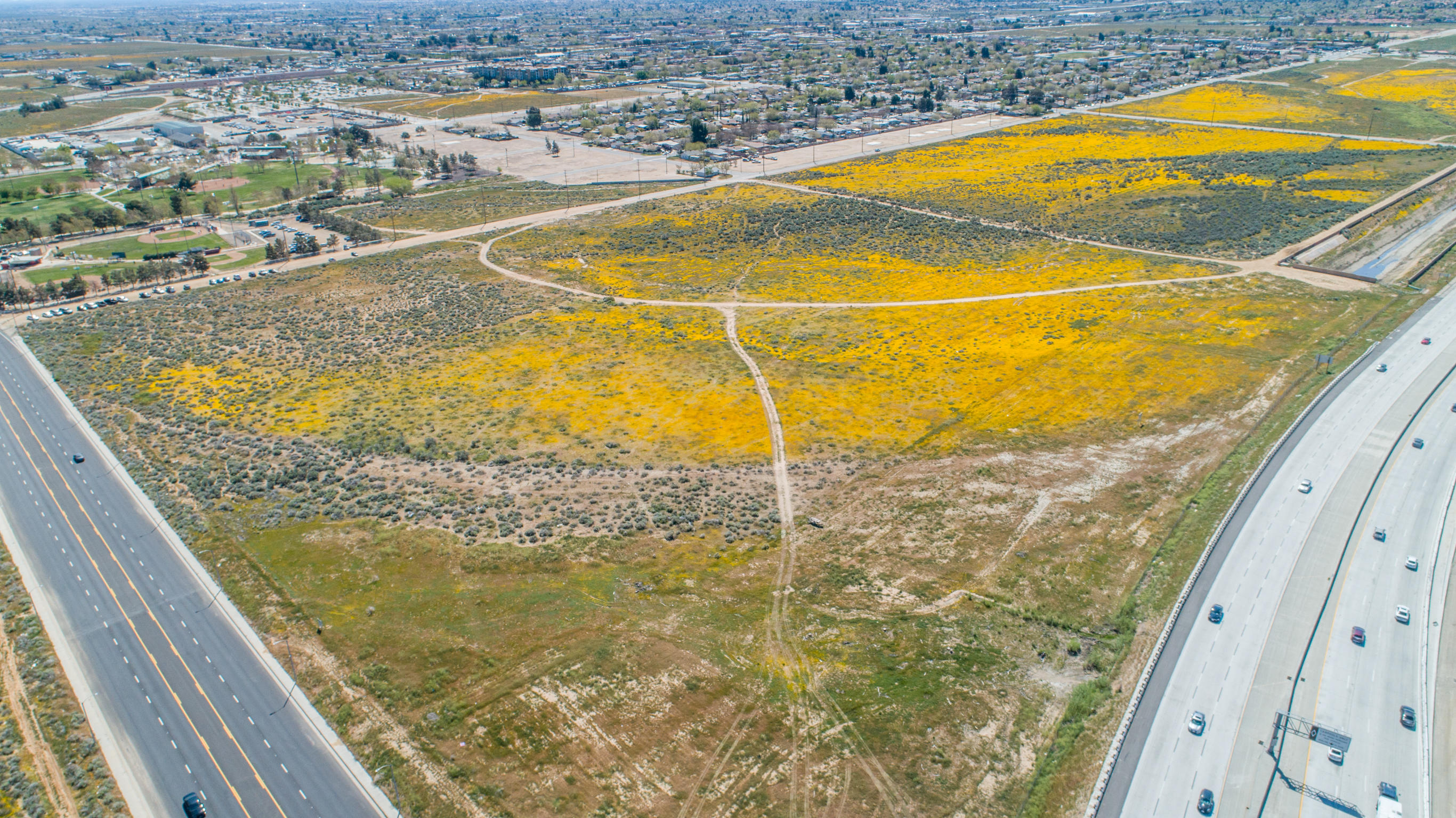 Vac Vac Corner Southeast Palmdale, CA 93550 - Photo 7 of 8 a view of a swimming pool