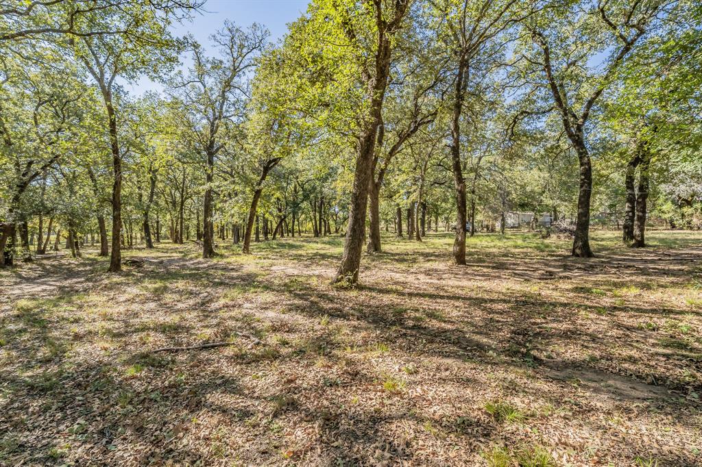 2865 West J E Woody Road Springtown, TX 76082 - Photo 27 of 33