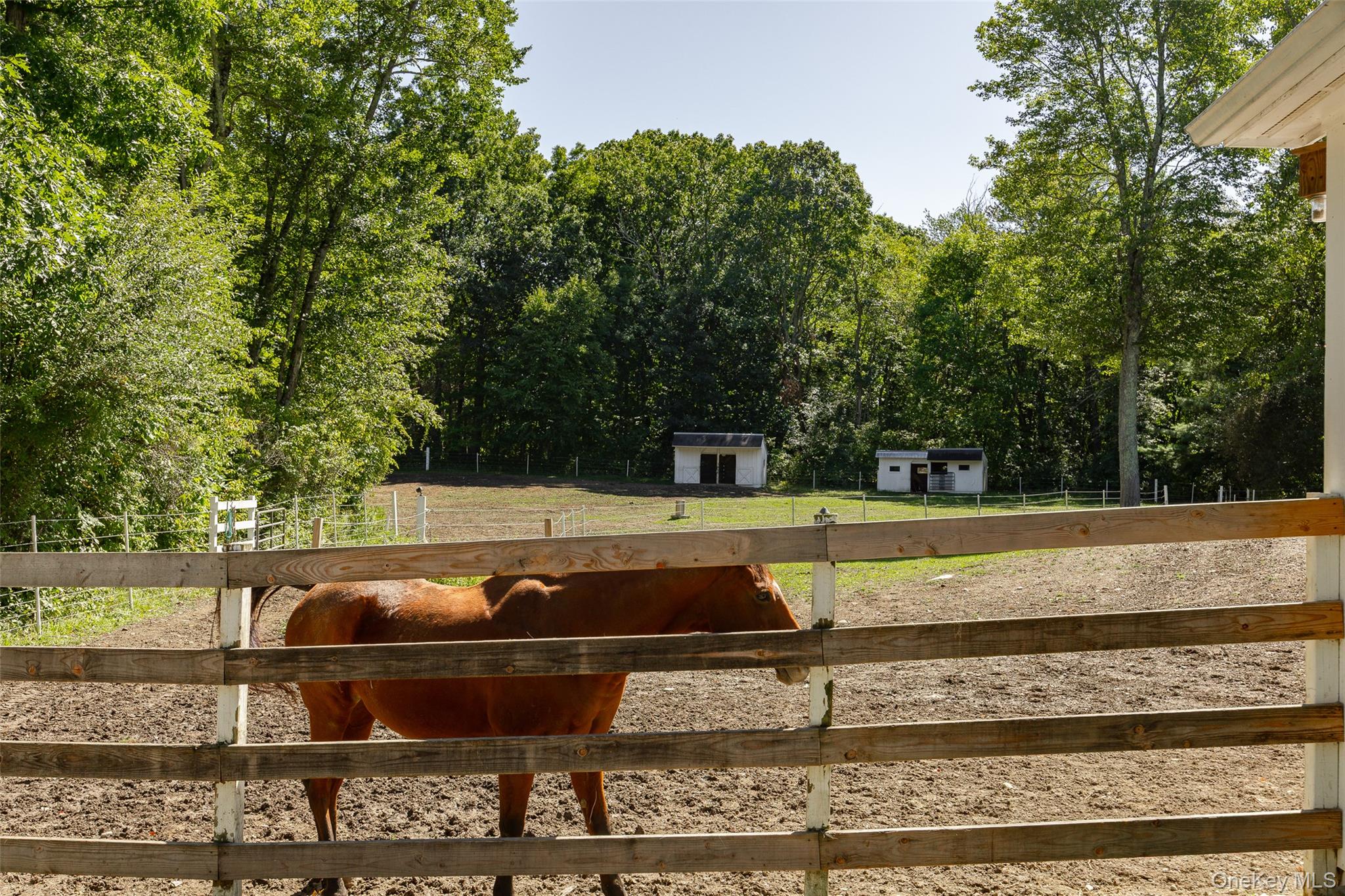 26 Gold Road Pleasant Valley, NY 12569 - Photo 38 of 50 Gallery Image 38
