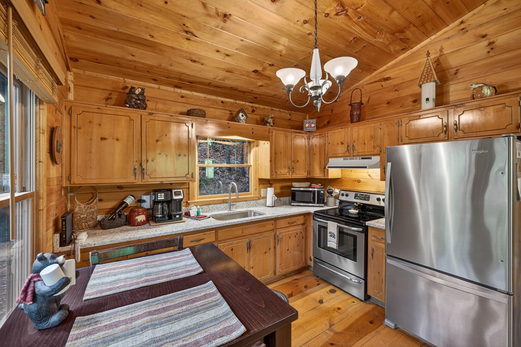 203 Mountain View Road Cherry Log, GA 30522 - Photo 4 of 32