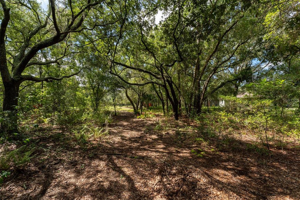 14150 Highland Road Wimauma, FL 33598 - Photo 63 of 70 Gallery Image 63