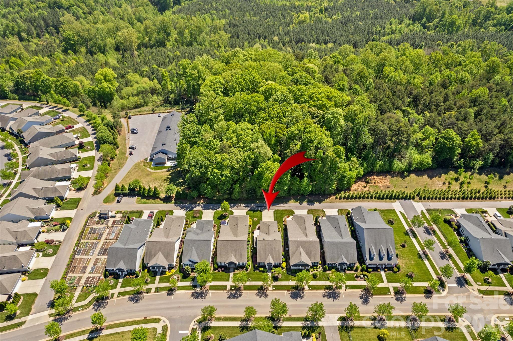 11516 Dublin Cres Road Cornelius, NC 28031 - Photo 2 of 36 Gallery Image 2