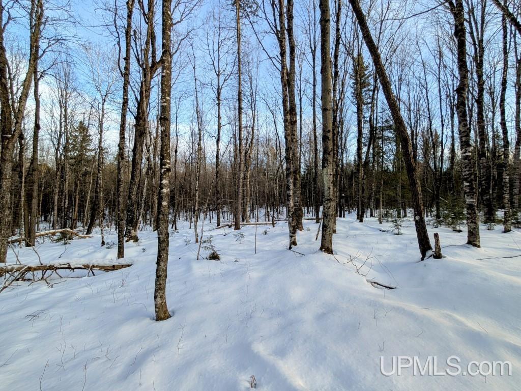 4500 Rd Watersmeet Mi 49969 Road Trout Creek, MI 49967 - Photo 3 of 17