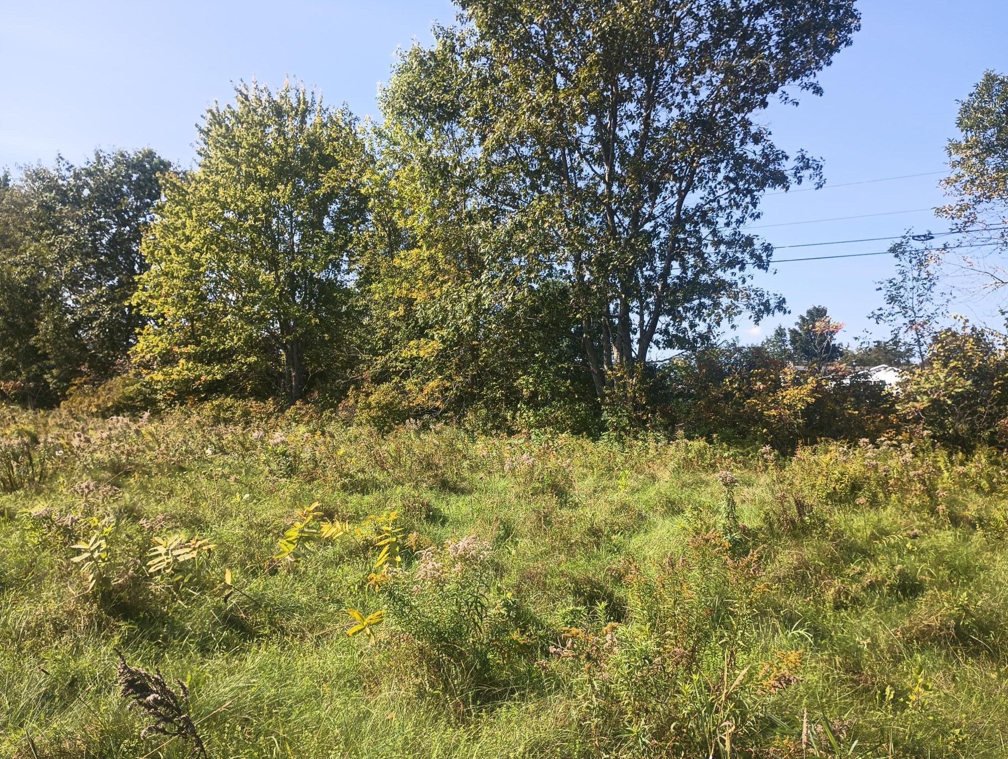 Lot 2 Holt Road Clinton, ME 04927 - Photo 3 of 5 Road View
