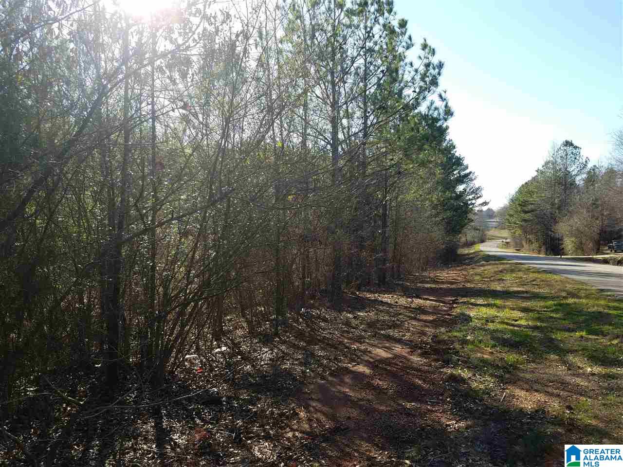 0 Cove Access Road, Unit 7 ACRES Talladega, AL 35160 - Photo 15 of 19